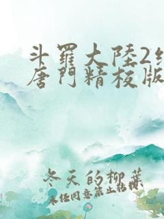 斗罗大陆2绝世唐门精校版txt