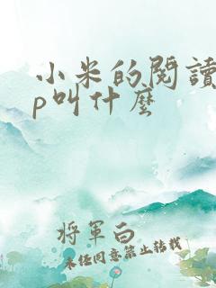 小米的阅读app叫什么