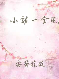 小说一金风玉露