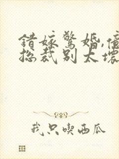 错嫁惊婚,亿万总裁别太坏