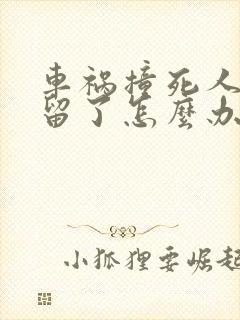 车祸撞死人被拘留了怎么办