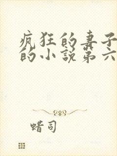 疯狂的妻子王惠的小说第六章在线阅读