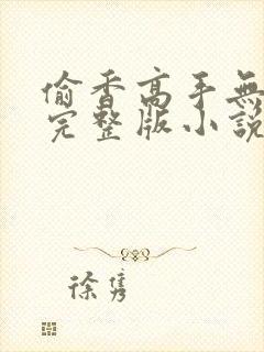 偷香高手无删减完整版小说