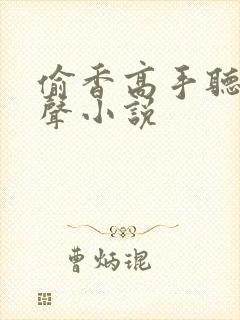 偷香高手听书有声小说