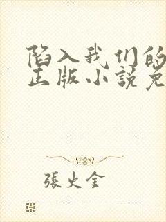 陷入我们的热恋正版小说免费阅读
