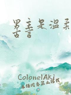 男主是温柔师兄古言