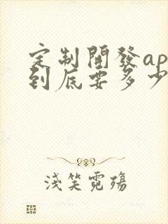 定制开发app到底要多少钱