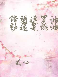 锋兰达买油电混动还是燃油车好