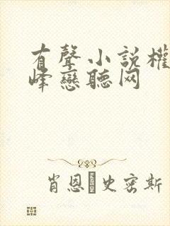 有声小说权力巅峰恋听网