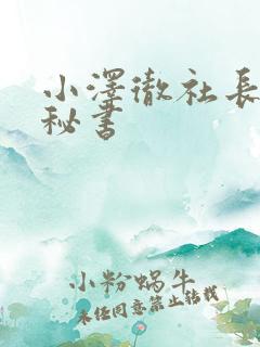 小泽彻社长人妻秘书