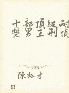 十部顶级耐看的双男主刑侦小说
