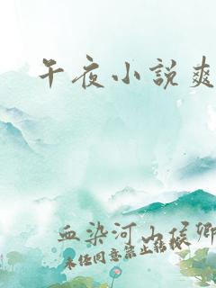 午夜小说爽文