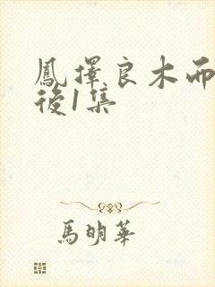 凤择良木而栖最后1集