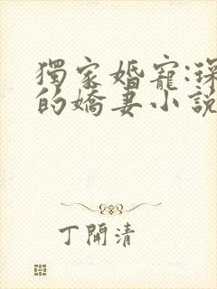 独家婚宠:琛少的娇妻小说