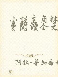 小说主角林风免费阅读全文