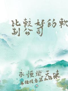 比较好的软件定制公司