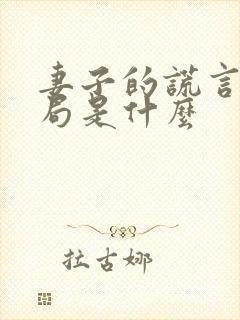 妻子的谎言大结局是什么