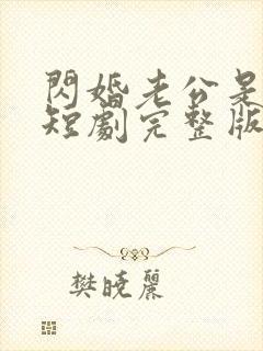 闪婚老公是总裁短剧完整版免费看