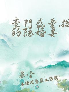 豪门盛爱,总裁的隐婚妻
