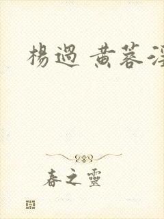 杨过 黄蓉淫传