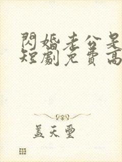 闪婚老公是总裁短剧免费高清