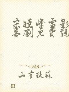 宋晓峰电影大全喜剧免费观看