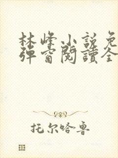 林峰小说免费无弹窗阅读全文