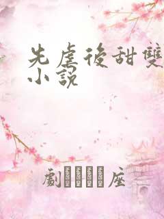 先虐后甜双男主小说