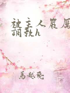 被主人严厉惩罚调教h