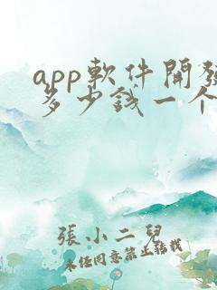 app软件开发多少钱一个月