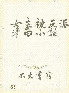 女主被反派毁了清白小说