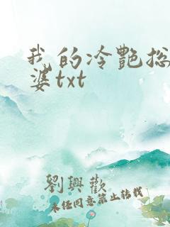 我的冷艳总裁老婆txt