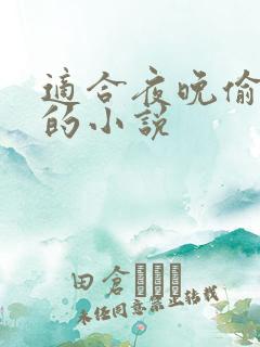适合夜晚偷偷看的小说