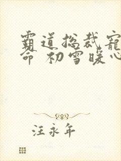 霸道总裁宠妻如命 初雪暖心