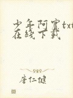 少年阿宾txt在线下载