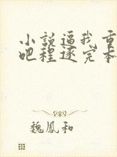 小说逼我重生是吧程逐完本