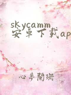 skycamm安卓下载app