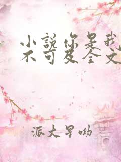 小说你是我的遥不可及全文免费阅读