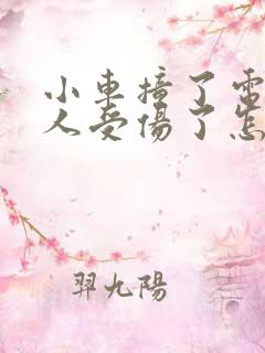 小车撞了电动车人受伤了怎么赔偿
