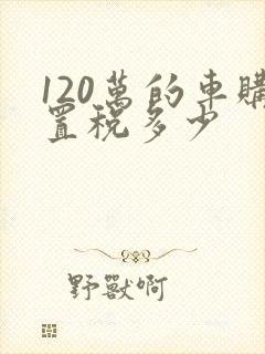 120万的车购置税多少
