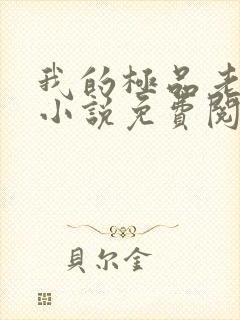 我的极品老婆 小说免费阅读