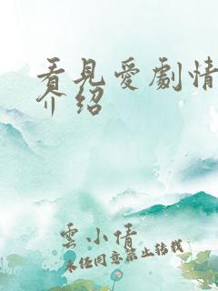 看见爱剧情分集介绍