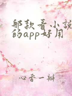 那款看小说免费的app好用