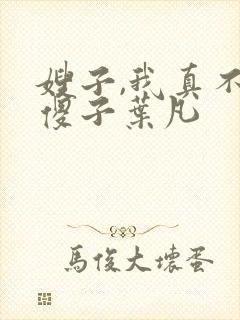 嫂子,我真不是傻子叶凡