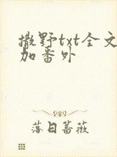 撒野txt全文加番外