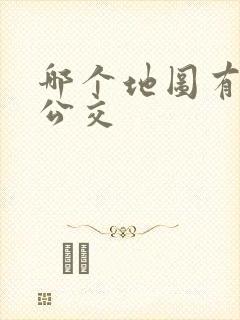 哪个地图有实时公交