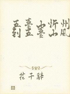 五台山忻州机场到五台山风景区