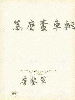 怎么查车辆油耗