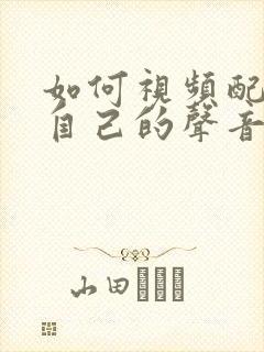 如何视频配音用自己的声音