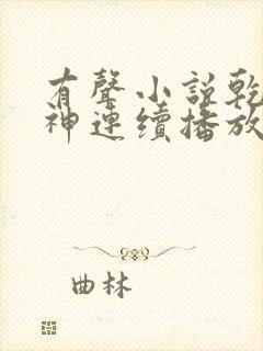 有声小说乾坤剑神连续播放